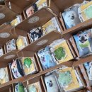 옐레드 애견유치원 & 애견호텔 대전노은점 이미지