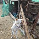 촌캉스독채외갓집 이미지