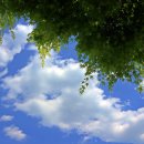 푸른하늘 이미지