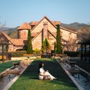 금토가든 | 피기 전이라 아쉬웠던 3월29일, 춘천 제이드가든 후기! 이번주에 슬슬 개화할듯 : ) 춘천, 가평여행 후기