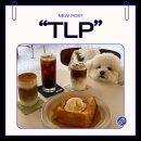 대명동 카페거리 쉐 | 대구 대명동 애견동반카페 신상카페 내돈내산 후기 [TLP]