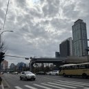 옥이누나 | 네모 안에 파랑 핑크 (0227-28)