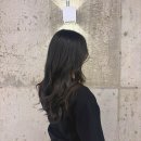 예향미용실 이미지