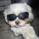 삼성안경 이미지