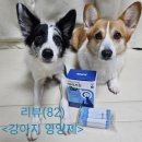 승리 바이오 | (강아지 눈 영양제 추천)바이오핏 강아지 눈 영양제 급여 후기