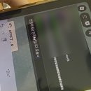 망 미 정 | ☘︎︎ 5월 ☘︎︎