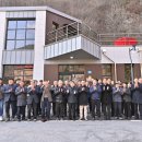 정선산약초
