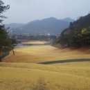 원주센추리스크린골프 이미지