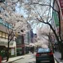 양재대로62길 이미지