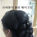 백화춘 이미지