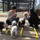 동명대학교 이미지