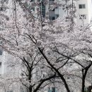 커피인더스터디