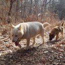 (주)청솔 이미지