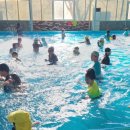 용인대 석사 서울시 대표 태권도 이미지