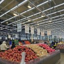 삼촌네식자재(정육코너) | 아산 탕정 델리마트 대형마트 신규 오픈 식자재 품목 총정리 장보기 후기