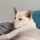 유토피아마트 이미지