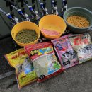 어우실낚시터 이미지