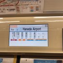 부엉이 안경가게(완도점) | 크리스마스 맞이 일본 도쿄 여행 1탄 - 도쿄 호텔 추천, 도쿄 맛집, 시부야 맛집