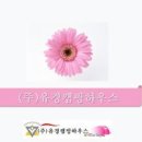 유경캠핑하우스 이미지