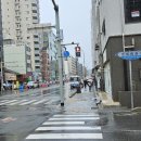 교토 4일차 호텔조식,비빔밥,벌레물림,저녁 이미지