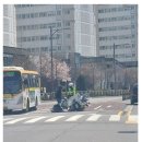 딸리 이미지