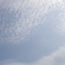 카리스펜션 이미지