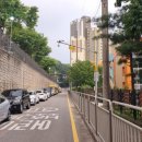 주정차단속-101 이미지