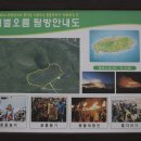 새별오름컨텐츠