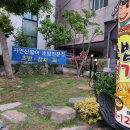 마당활어초밥