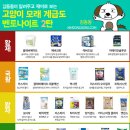 고양이집:고집 이미지