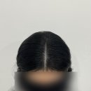 오하이스칼프