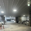 루밍뷰티 | 수원 인계동 브라질리언왁싱 루밍뷰티 후기 / 수원 왁싱 여자왁서