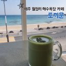 토끼문 | 제주 여행 월정리 해수욕장 오션뷰 카페 추천 토끼문 내돈내산 후기