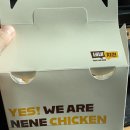 미친치킨 | 네네치킨 미친 가성비 배달 주문 후기ㅣ어니언 스노윙 치킨 반마리