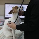 누리봄동물병원 이미지