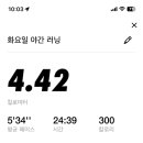 카운터복싱 이미지