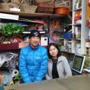 영화꽃방