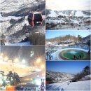 과수원민박 이미지