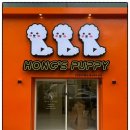 건강한 강아지 이미지