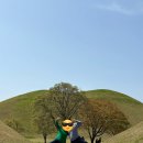 기차여행 | 경주버스투어로 다녀온 경주당일치기 국내기차여행 후기