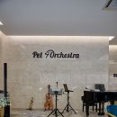 펫오케스트라 반려동물장례식장 | 애견장례식장 추천 깔끔한 펫오케스트라 반려동물장례식장