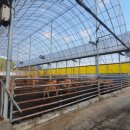 정식축사 이미지