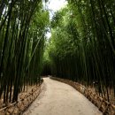 십리대밭교 화장실 이미지