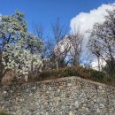 양지 배수장 이미지