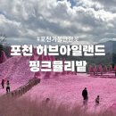 포천관광안내소 | 오기 좋은 핑크뮬리가 가득한 포천 허브아일랜드 내돈내산 방문 후기(주차, 입장료, 핑크모래 썰매...