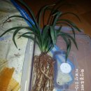 조은왕겨 이미지