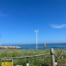 강릉멍릉도원애견펜션 이미지