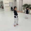국제태권도연맹송도도장 네이버블로그