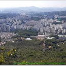 동백호수공원 이미지