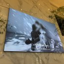 이쁨예쁨 | 서울 웨딩홀 계약 후기 (건대입구 까사그랑데 센트로)